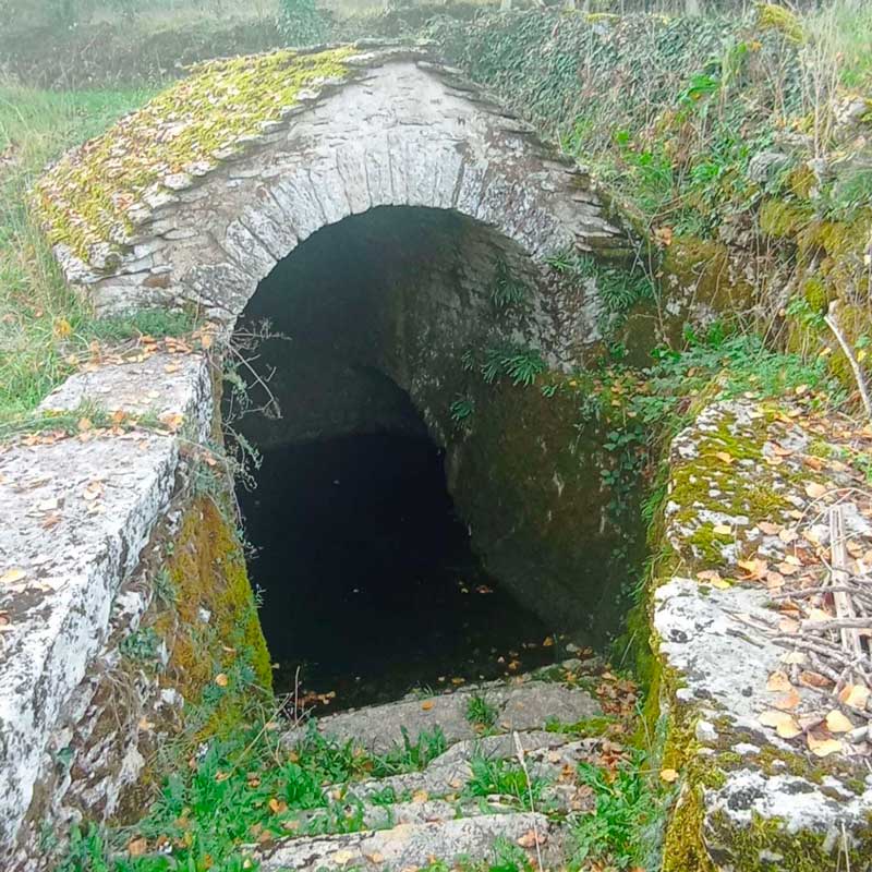 Sortie Mas du Verdier et visite de la brasserie Kos