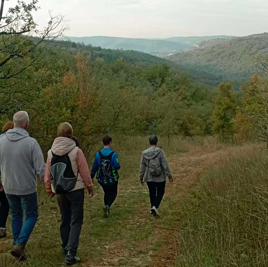 Sortie Mas du Verdier et visite de la brasserie Kos