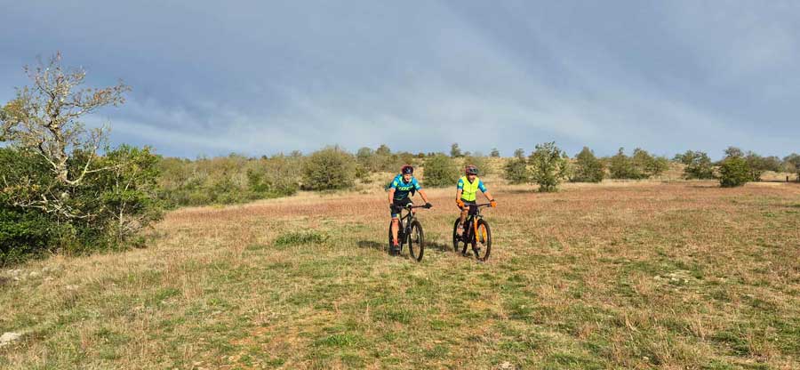 Sortie Mas du Verdier et visite de la brasserie Kos