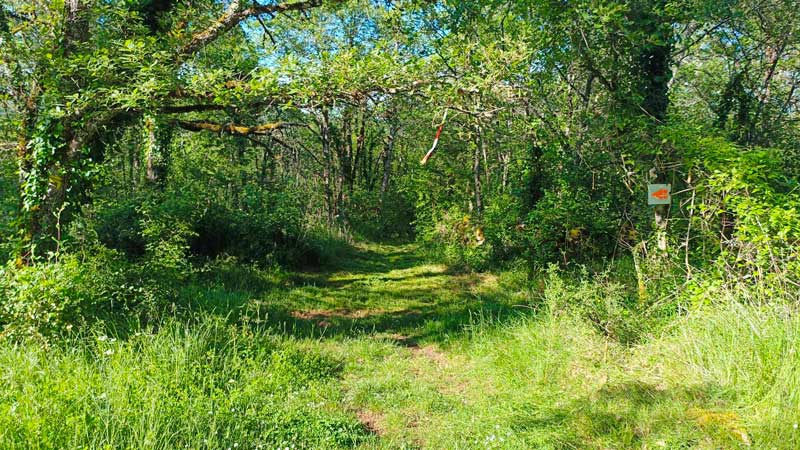 J-7 avant le Roc Quercynois 2025