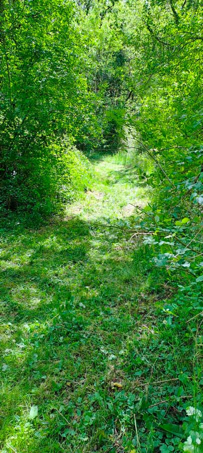 Préparatif du Roc Quercynois 2025