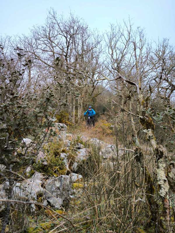 Sortie Gréalou le 20 janvier 2025